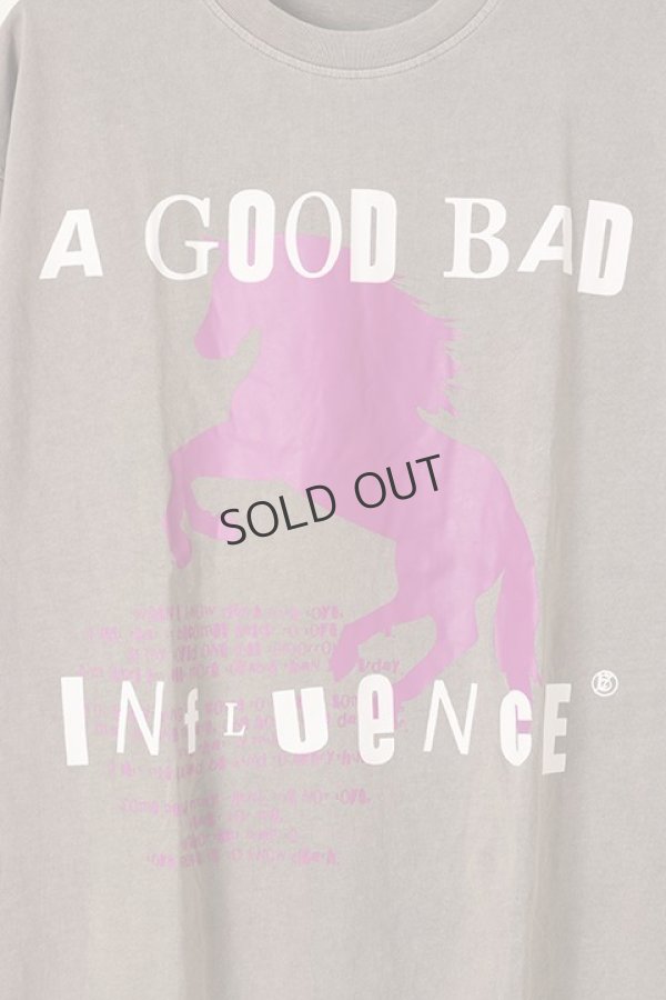 画像3: {SOLD}a good bad influence アグッドバッドインフルエンス HORSE LOGO WASHED T-SHIRT{GB-22-FW11-GRY-BBA} (3)
