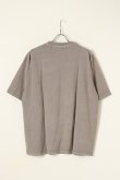 画像5: {SOLD}a good bad influence アグッドバッドインフルエンス HORSE LOGO WASHED T-SHIRT{GB-22-FW11-GRY-BBA} (5)