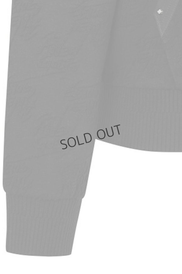 画像7: {SOLD}アニュー ゴルフ ANEW GOLF W バーンアウトロゴ アノラック{-BDA} (7)