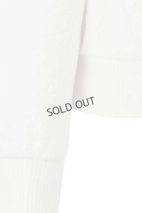 画像8: {SOLD}アニュー ゴルフ ANEW GOLF W バーンアウトロゴ アノラック{-BDA} (8)