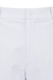 画像5: アニュー ゴルフ ANEW GOLF MEN SM INCISION HALF PANTS{-BFS} (5)