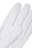 画像5: アニュー ゴルフ ANEW GOLF MEN LOGO POINT MESH GLOVES (LH){-BEA} (5)