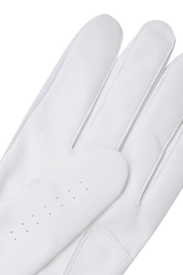 画像5: アニュー ゴルフ ANEW GOLF MEN LOGO POINT MESH GLOVES (LH){-BEA} (5)