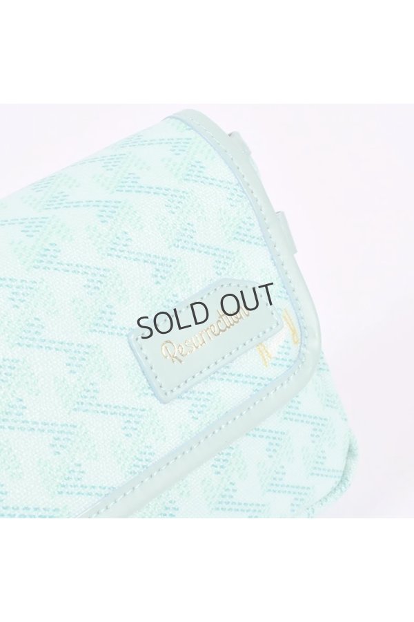 画像6: レザレクション｜Resurrection アイクス No.2{-BEA} (6)