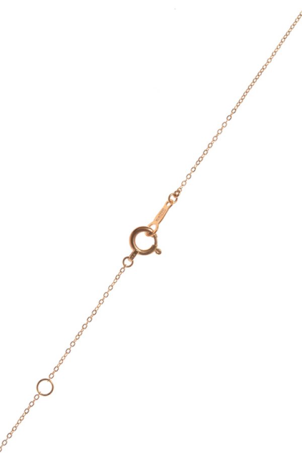 画像5: 【 30%OFF セール44,000円→30,800円】 AHKAH アーカー ストーンレメディイニシャルネックレス E{AK0851010100-} (5)