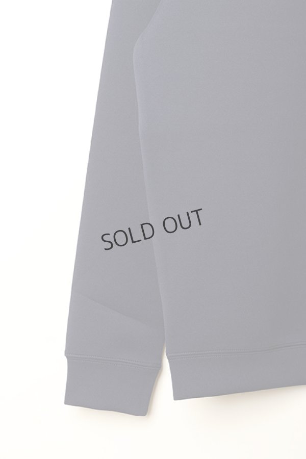 画像4: {SOLD}ブリーフィング ゴルフ BRIEFING GOLF WS 3D LOGO CREW NECK{-BBA} (4)