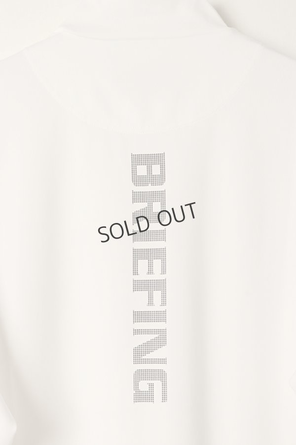 画像6: {SOLD}ブリーフィング ゴルフ BRIEFING MS TOUR LS HIGH NECK{-BDS} (6)