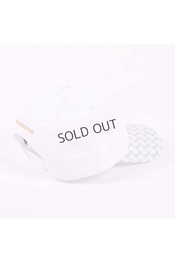 画像4: {SOLD}レザレクション|Resurrection GMブリムキャップUV{-BDS} (4)