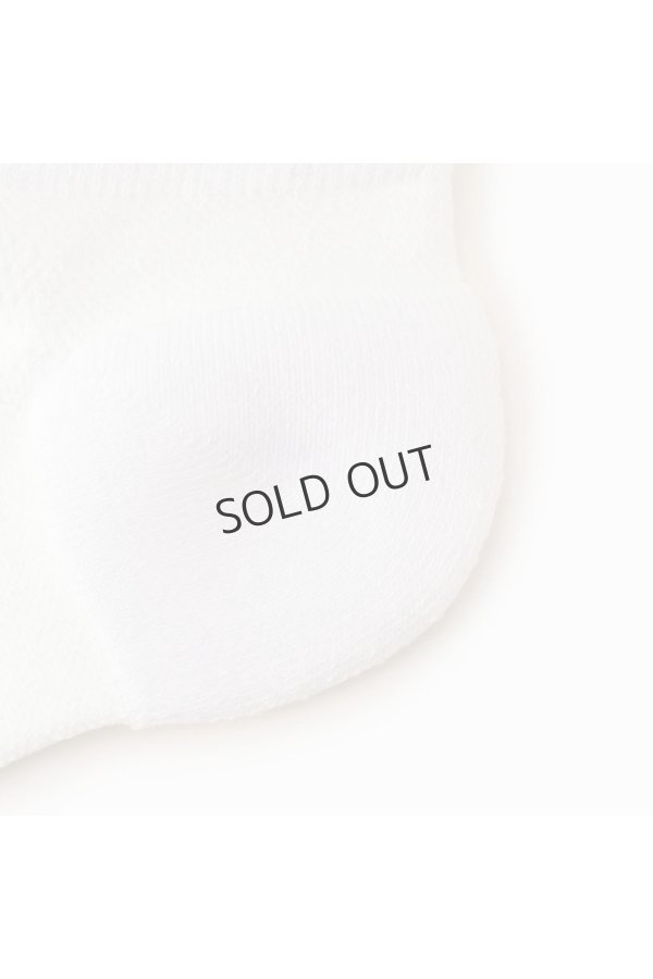 画像5: {SOLD} (レディース) ブリーフィング ゴルフ BRIEFING WOMENS CORDURA(R) SHORT SOCKS{-BDS} (5)