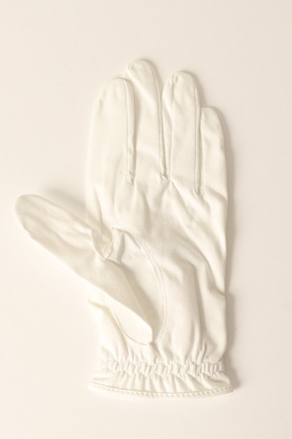 画像2: ブリーフィング ゴルフ BRIEFING MENS ANTIVIRUS TOUGH FIT GLOVE-L{-BCA} (2)