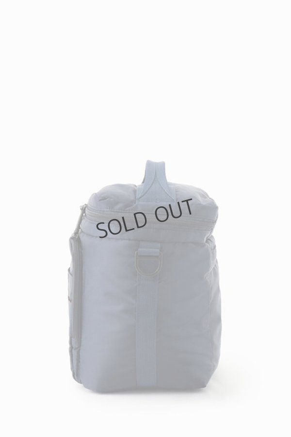 画像3: {SOLD}ブリーフィング ゴルフ BRIEFING COOLER BAG M ECO TWILL{-BDS} (3)