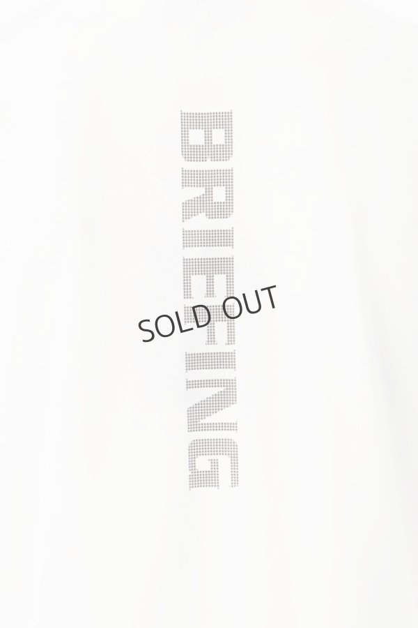 画像3: {SOLD}ブリーフィング ゴルフ BRIEFING 【KING SIZE 2XL~4XL】MENS TOUR HIGH NECK{-BDS} (3)