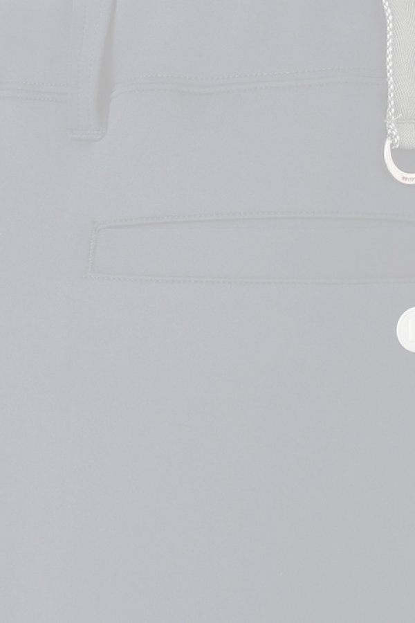 画像3: ブリーフィング ゴルフ BRIEFING WOMENS SIDE LOGO LINE SKIRT{-BDS} (3)