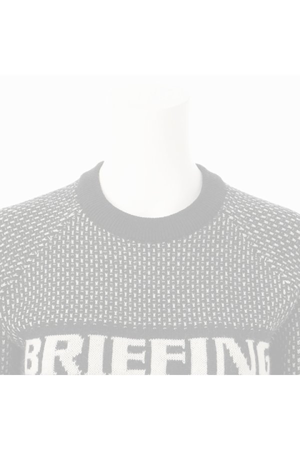 画像3:  {SOLD} ブリーフィング ゴルフ BRIEFING WOMEN'S MERINO WOOL LOGO CREWNECK KNIT{-BDA} (3)
