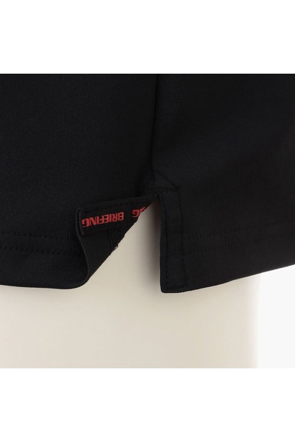 画像9: ブリーフィング ゴルフ BRIEFING MEN'S BG FLAG POLO{-BEA} (9)