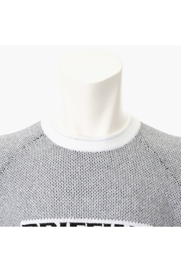 画像3: ブリーフィング ゴルフ BRIEFING MEN’S BIRDS EYE LOGO CREWNECK KNIT{-BEA} (3)