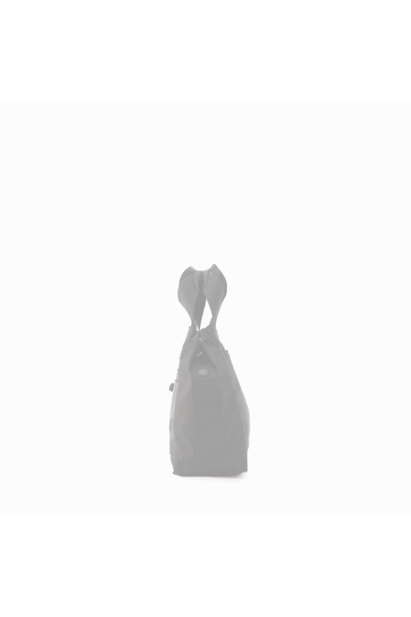 画像3: {SOLD}ブリーフィング ゴルフ BRIEFING CART TOTE METALLIC{-BEA} (3)
