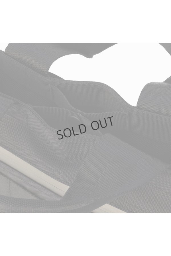 画像10: {SOLD}ブリーフィング ゴルフ BRIEFING CART TOTE METALLIC{-BEA} (10)