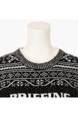 画像3: 【 20%OFF セール36,300円→29,040円】 ブリーフィング ゴルフ BRIEFING HOL WOMEN’S FAIR ISLE CREWNECK KNIT{-BEA} (3)