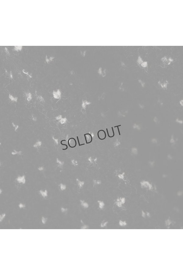 画像7: {SOLD}ブリーフィング ゴルフ BRIEFING HOL WOMEN’S FAIR ISLE CREWNECK KNIT{-BEA} (7)