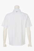 画像2: ブリーフィング ゴルフ BRIEFING MEN’S SHADOW LOGO JQ SHIRT （リラックスフィット）{-BFS} (2)