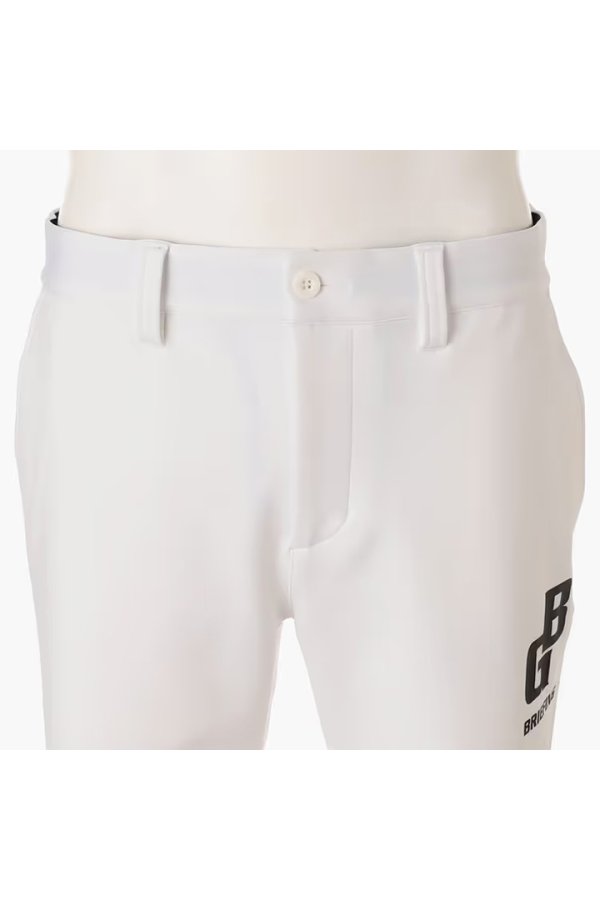 画像6: ブリーフィング ゴルフ BRIEFING MEN’S BACK BIG LOGO SHORT PANTS{-BFA} (6)