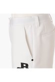 画像7: ブリーフィング ゴルフ BRIEFING MEN’S BACK BIG LOGO SHORT PANTS{-BFA} (7)