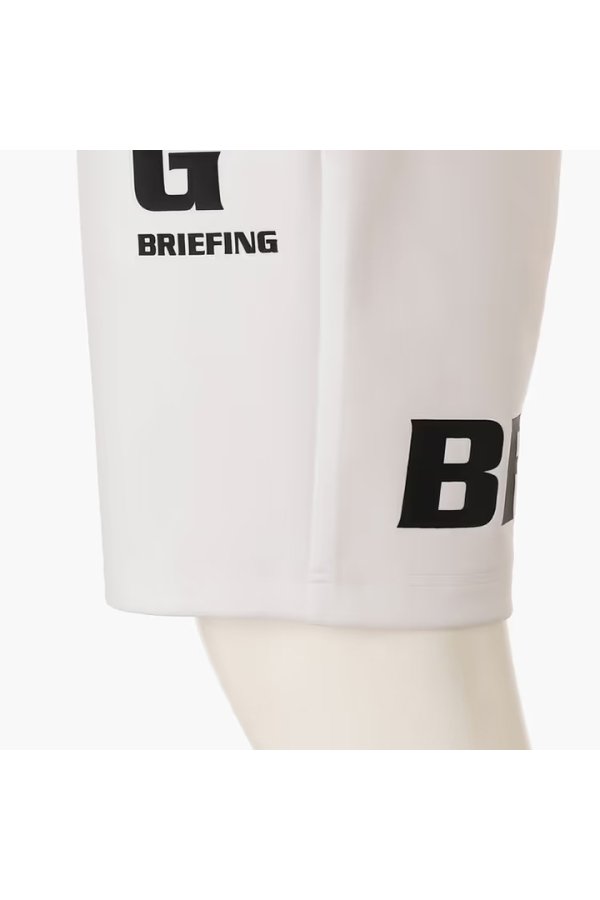 画像10: ブリーフィング ゴルフ BRIEFING MEN’S BACK BIG LOGO SHORT PANTS{-BFA} (10)