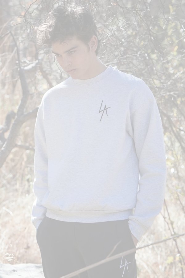 画像4:   LOCAL AUTHORITY ローカルオーソリティ LA SLASH CREW NECK FLEECE{-BDA} (4)