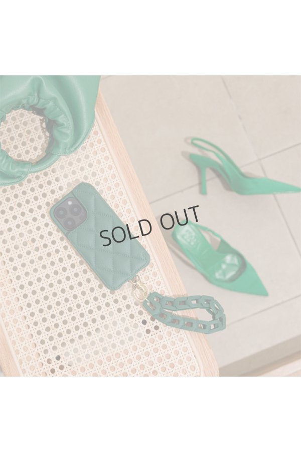 画像5: DEMIU デミュウ GRACE/iPhone16Pro/グリーン{-BEA} (5)