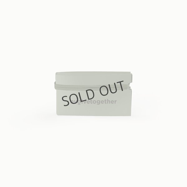 画像3: {SOLD}evolvetogether イヴォルブトゥギャザー GREEN(SAGE)(30 face masks pack|30枚入り){-BCS} (3)