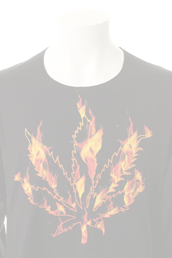 画像4:   lucien pellat-finet ルシアン ペラフィネ t-shirt L/S{-AES} (4)