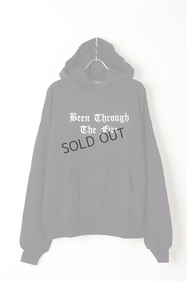 画像1: {SOLD}AMIRI アミリ Bean Through The Fire Hoodie{-AIA} (1)