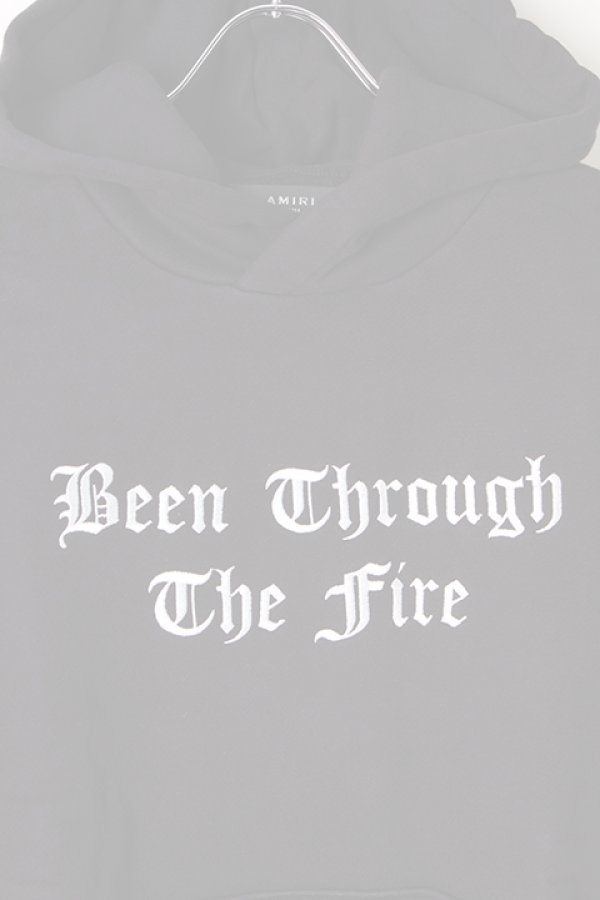 画像5:  {SOLD} AMIRI アミリ Bean Through The Fire Hoodie {-AIA}  :F9M02125TE-TAR  (5)