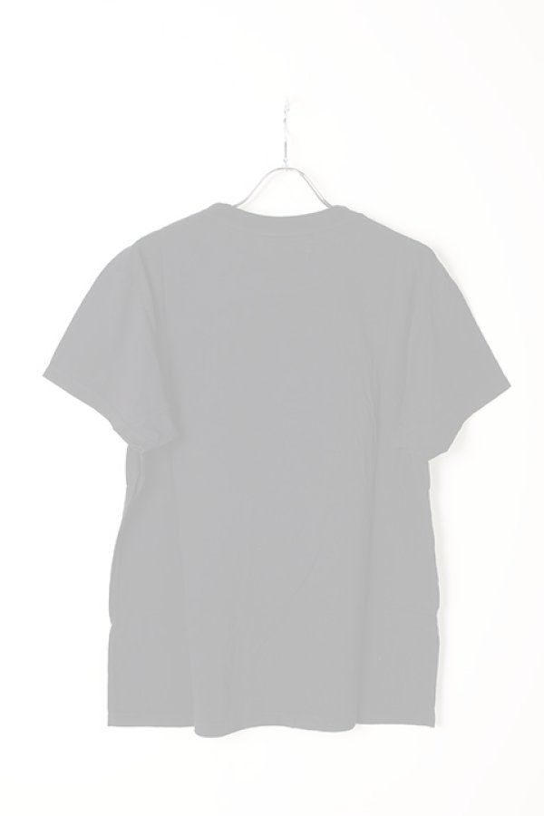画像2:  {SOLD} AMIRI アミリ Crane Tee {-AIA}  :F9M03108CJ-TAR  (2)