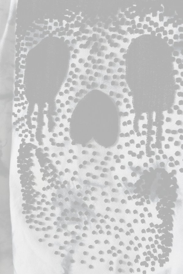 画像5:   Haculla ハキュラ SKULL MYSTERY HOODIE{-BJA} (5)