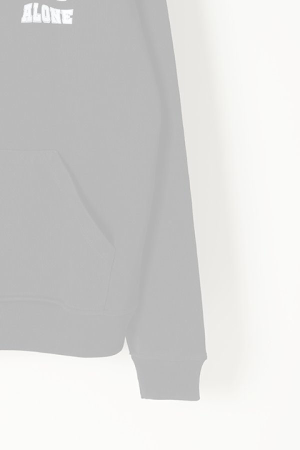 画像4:   LES(ART)ISTS レスアーティスト Hoodie{-BJS} (4)