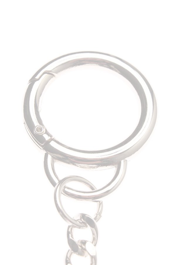 画像3:  {SOLD} KARL. LAGERFELD カール ラガーフェルド {-AHS} (3)