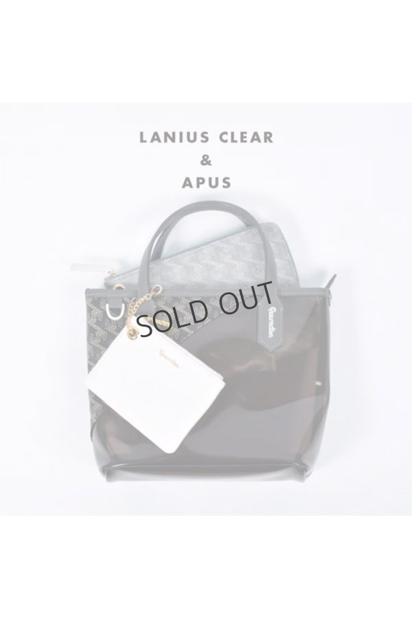 画像13: {SOLD}レザレクション｜Resurrection ラニウス クリア No.2{-BES} (13)