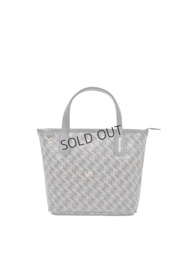 画像1: {SOLD}レザレクション｜Resurrection ラニウス ミニ No.2{-BES} (1)