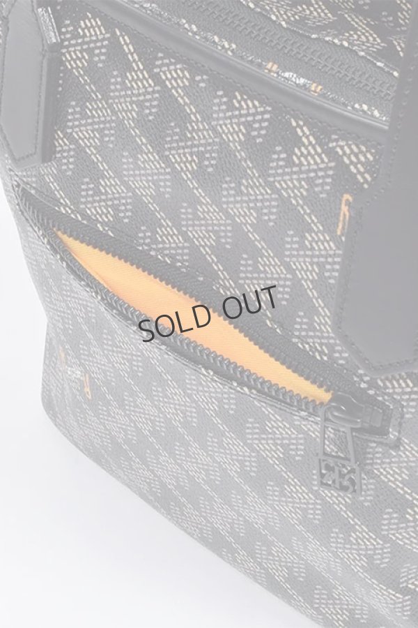 画像8: {SOLD}レザレクション｜Resurrection ラニウス ミニ No.2{-BDA} (8)