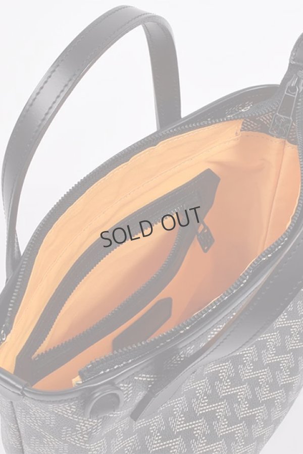 画像14: {SOLD}レザレクション｜Resurrection ラニウス ミニ No.2{-BDA} (14)