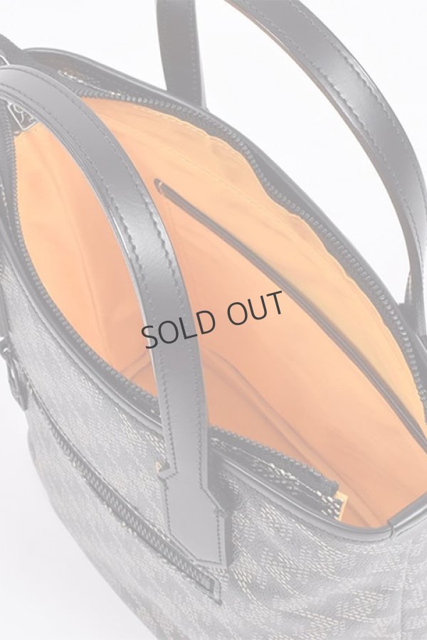 画像15: {SOLD}レザレクション｜Resurrection ラニウス ミニ No.2{-BDA} (15)