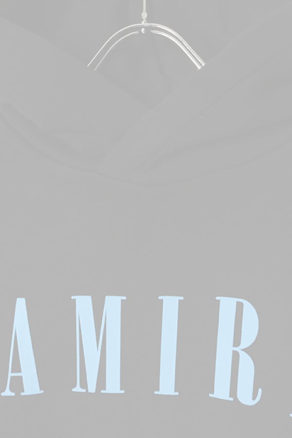 画像2:  {SOLD} AMIRI アミリ CORE LOGO HOODIE {-BCS}  :MJL022-001  (2)