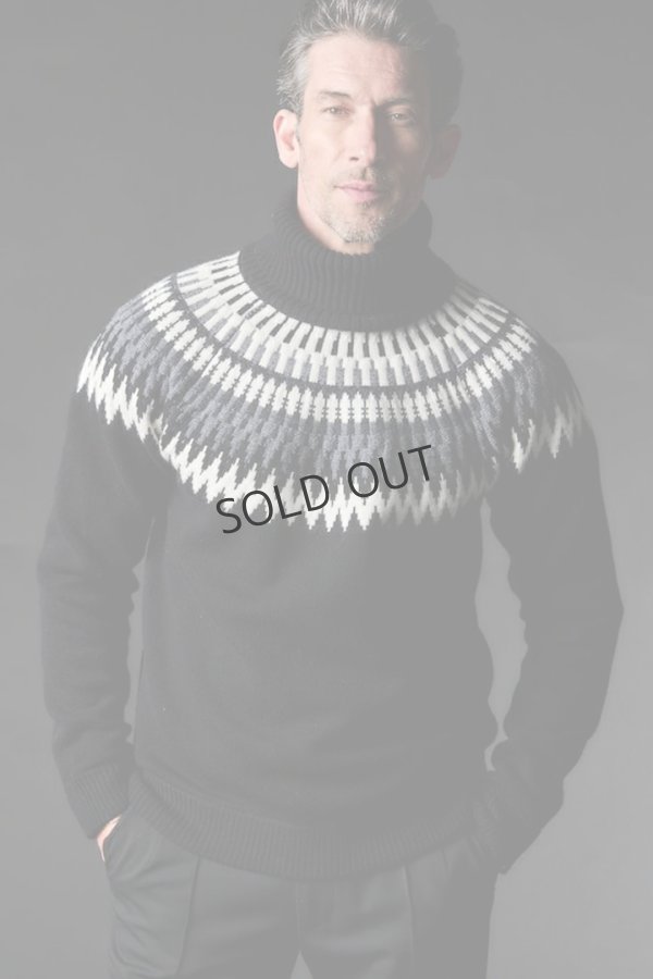 画像1: {SOLD}1piu1uguale3 ウノピゥウノウグァーレトレ NORDIC TURTLE{-BEA} (1)