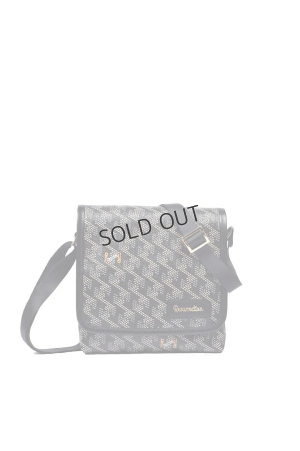 画像1: {SOLD}レザレクション|Resurrection パロット No.2{-BES} (1)