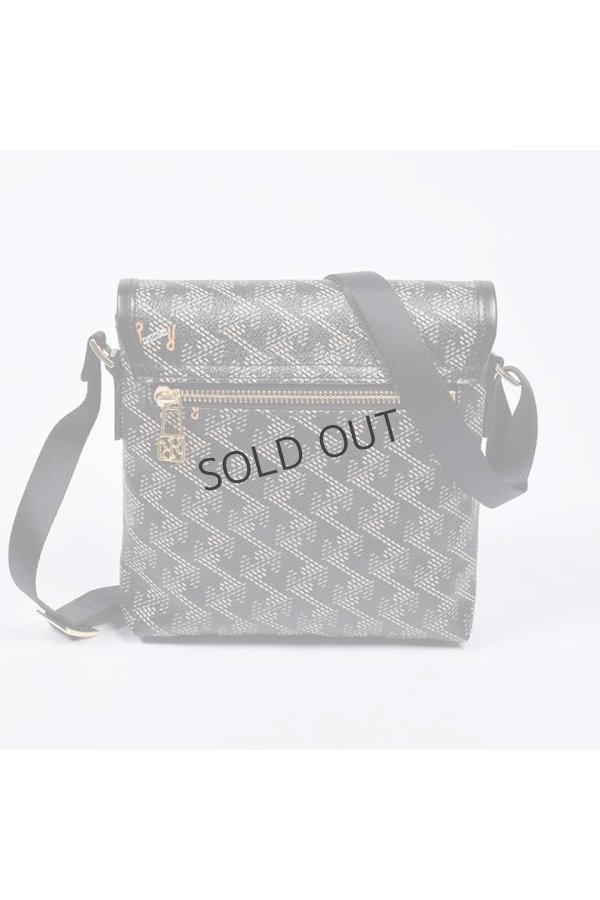 画像3: {SOLD}レザレクション|Resurrection パロット No.2{-BES} (3)