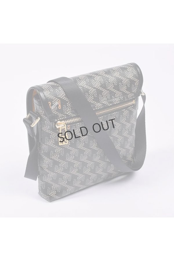 画像4: {SOLD}レザレクション|Resurrection パロット No.2{-BES} (4)