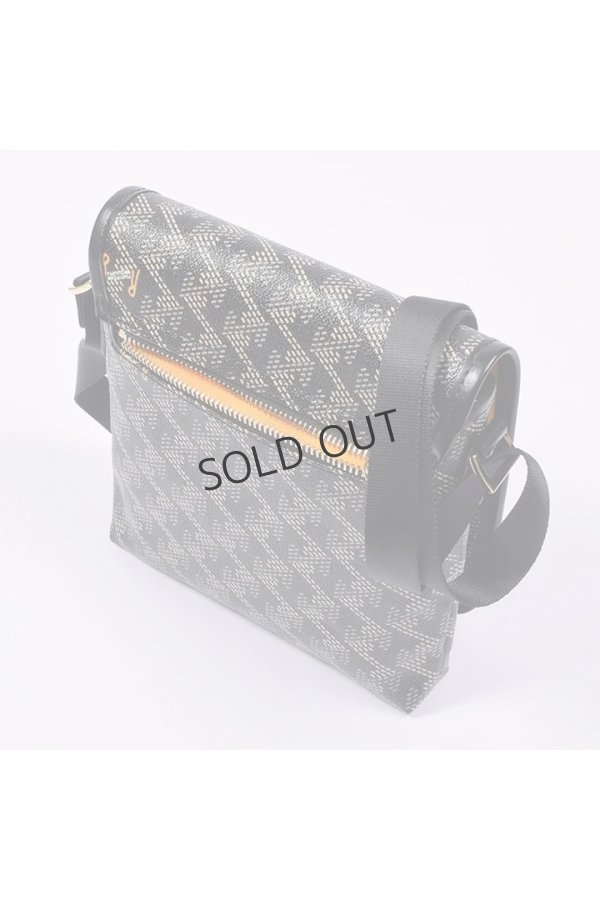 画像5: {SOLD}レザレクション|Resurrection パロット No.2{-BES} (5)