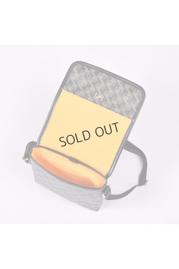 画像6: {SOLD}レザレクション|Resurrection パロット No.2{-BES} (6)